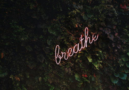 The Power of Journaling: Inspiring Love Quotes from Famous People
